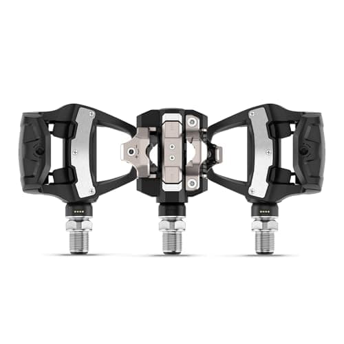 Garmin Rally RS210