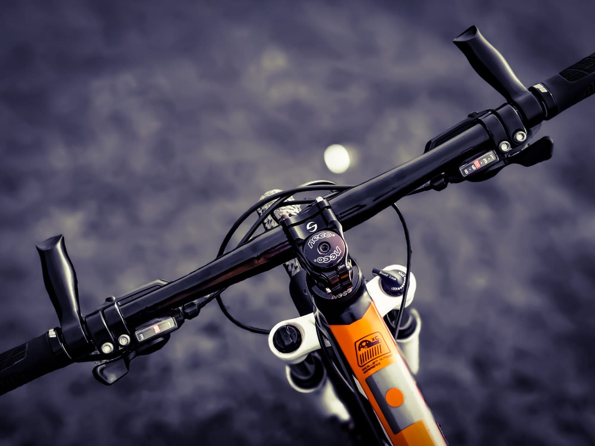 A road bike rear derailleur and cassette photographed in low, raking light.