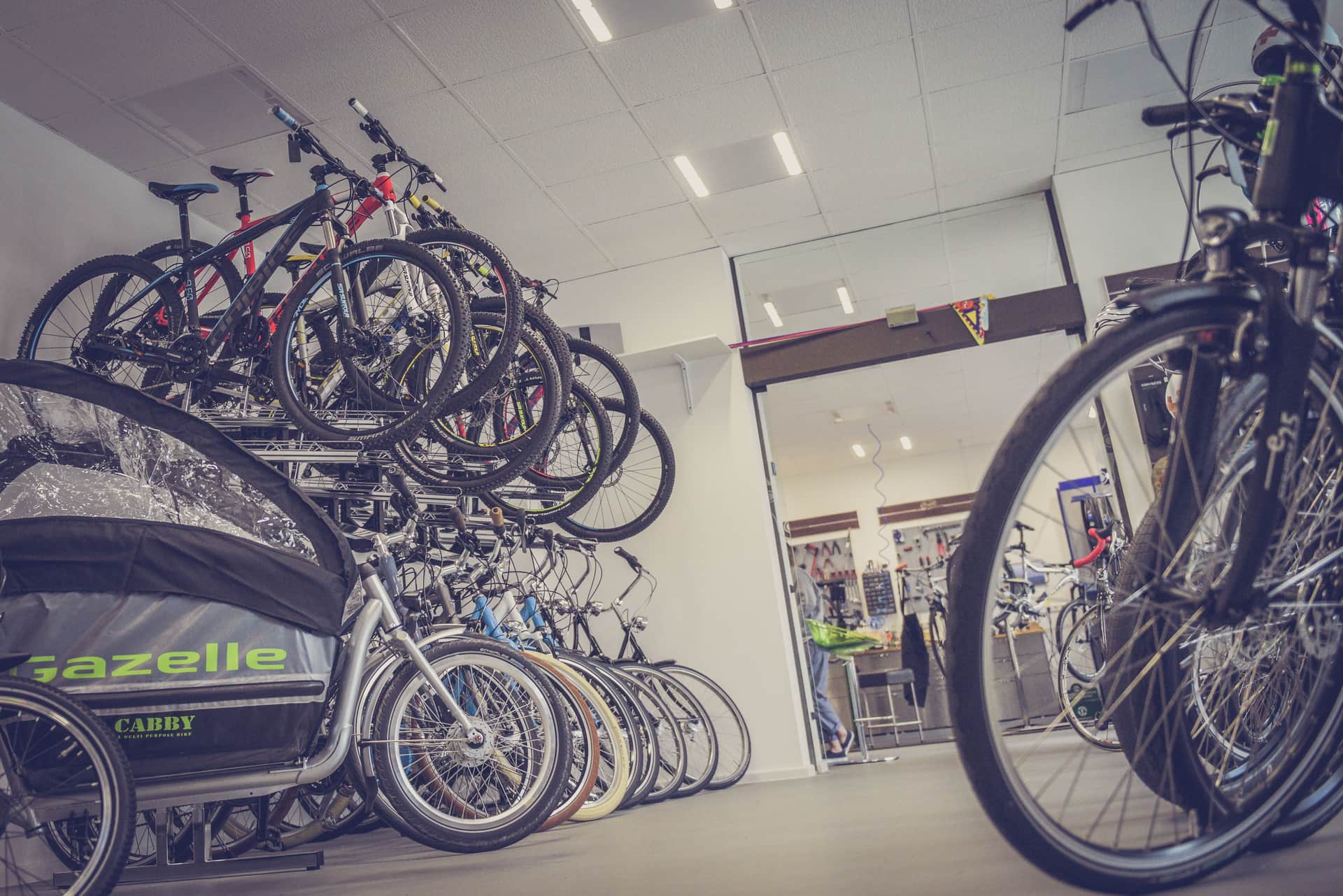 Rows of bicycles displayed inside a bike shop.