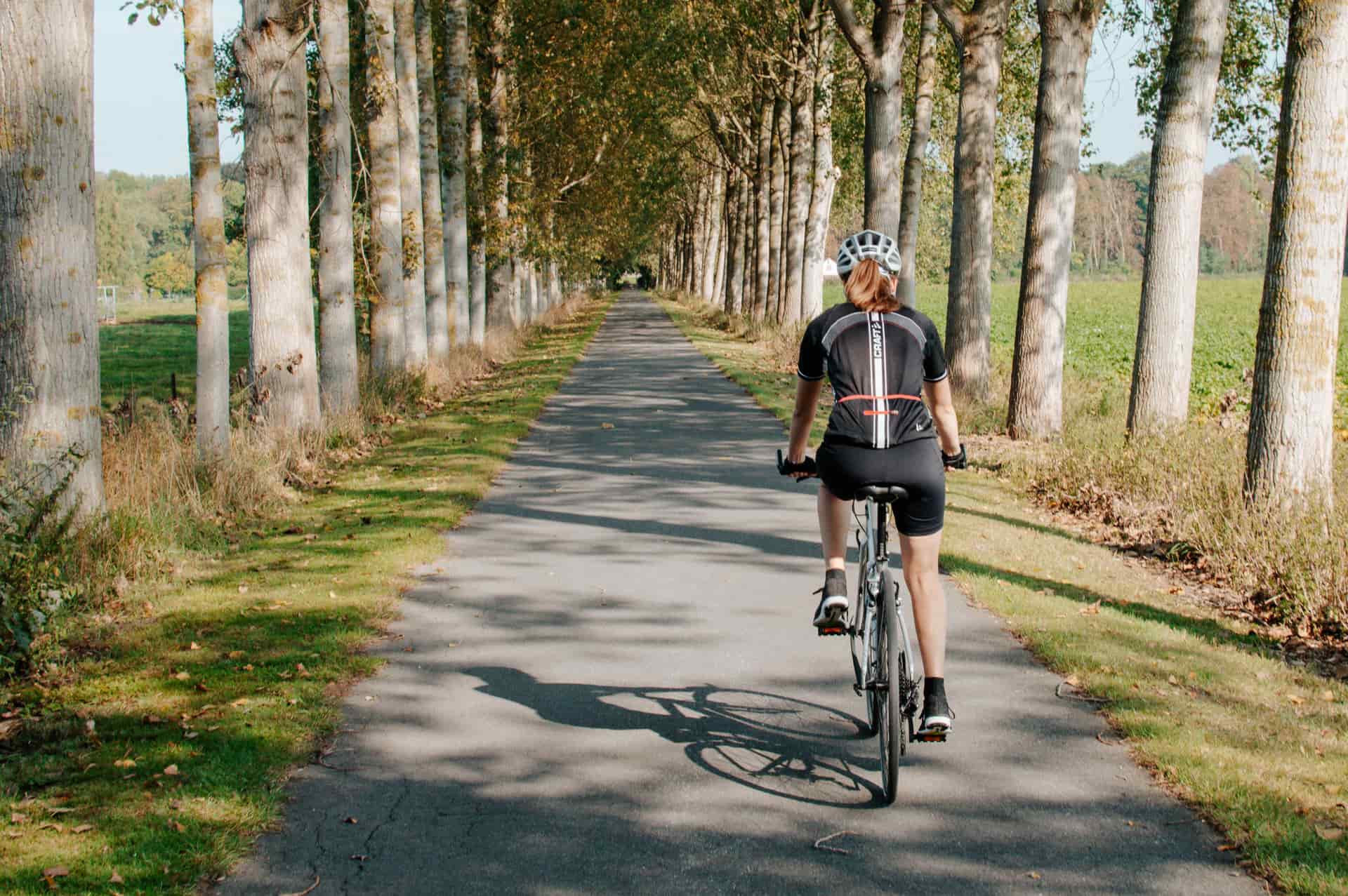 A cyclist riding away along a tree-lined path.