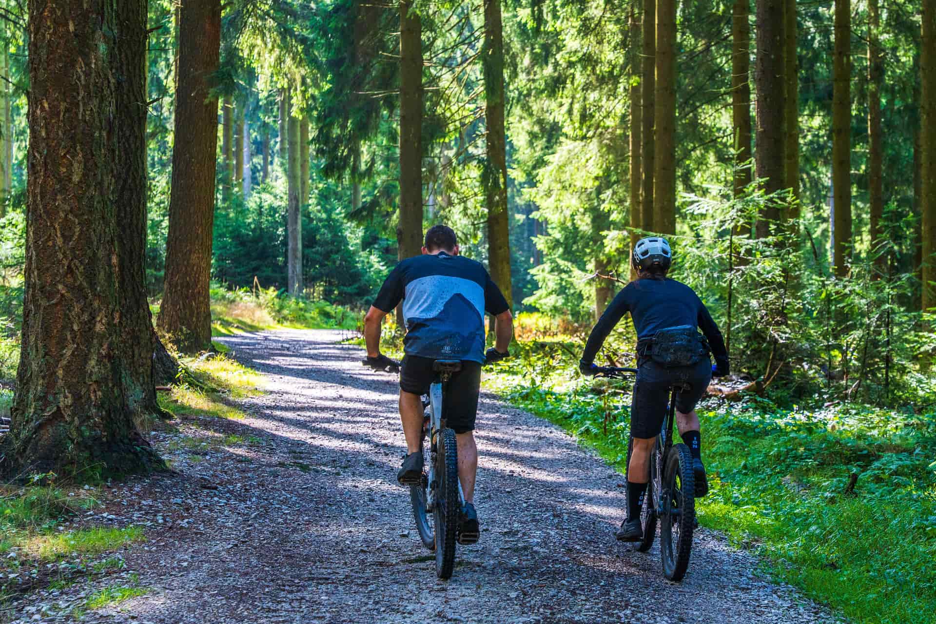 A drop-bar gravel bike and a flat-bar full-suspension mountain bike side by side on a dirt trail.