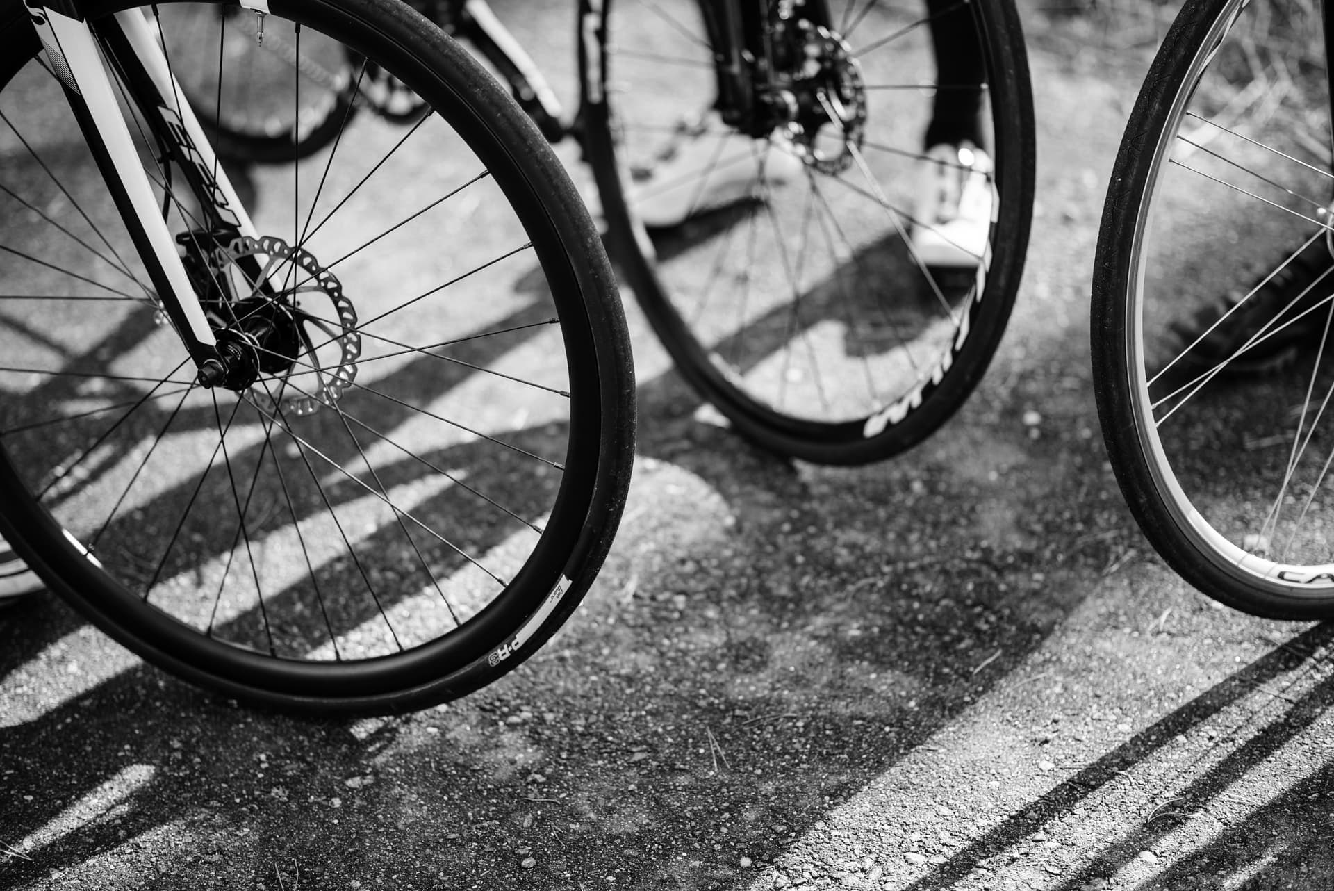 A gravel bike tire on a loose stony forest track in flat morning light.