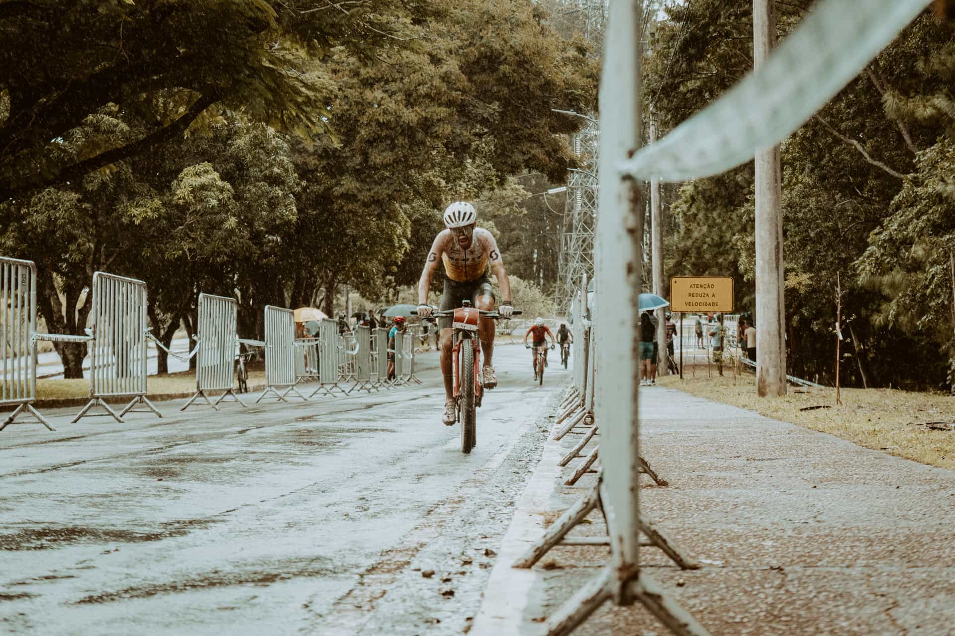 Cyclists riding on a wet road through trees in the rain.
