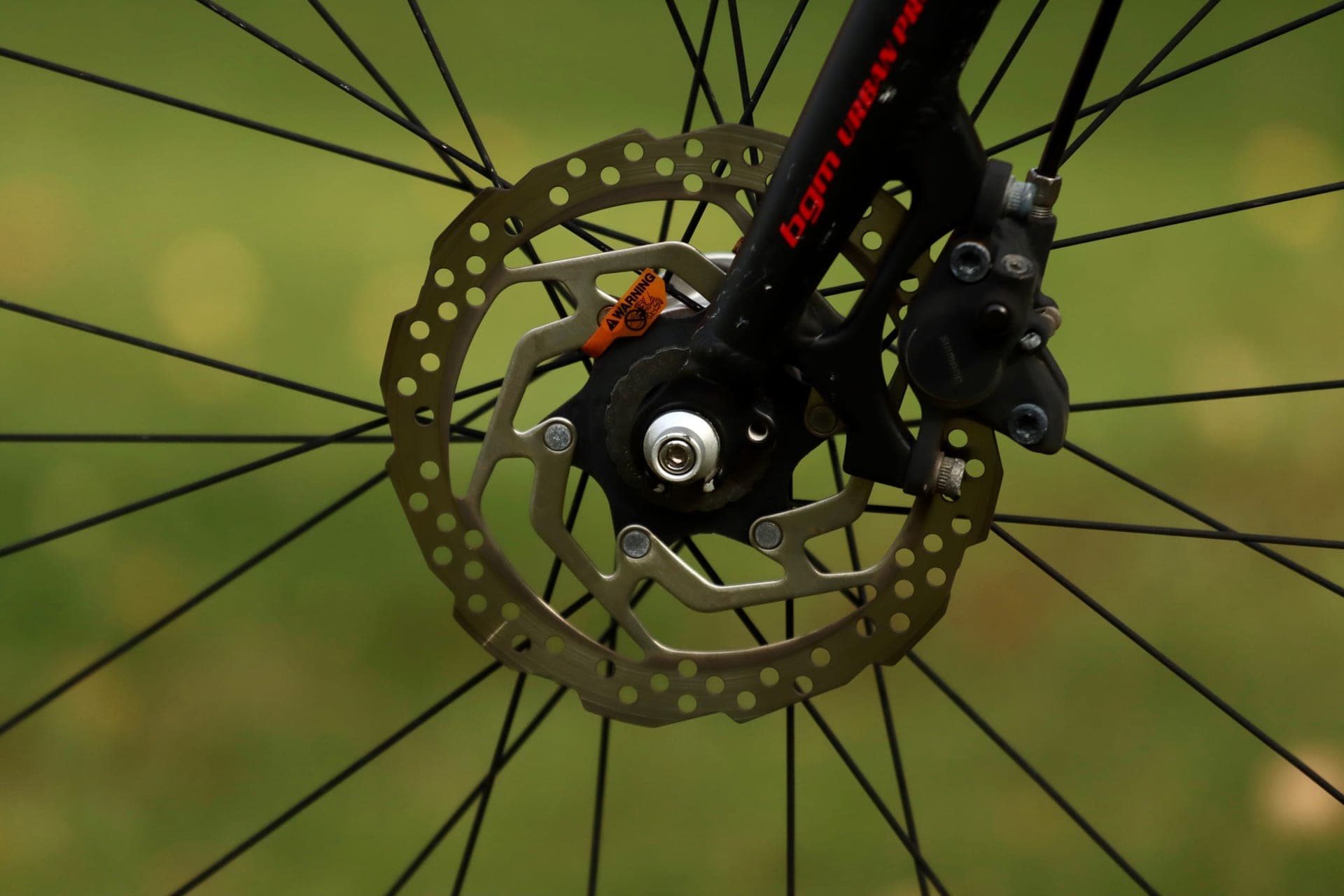 A disc brake caliper and rotor on a road bike front wheel, the pad just visible through the caliper slot, in daylight.